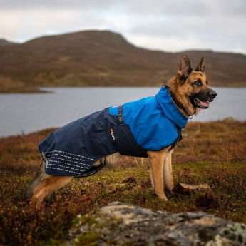 Non-Stop Dogwear Fjord Regnjacka till Hund Blå