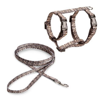 Basic Cat Sele & Koppel Leopard