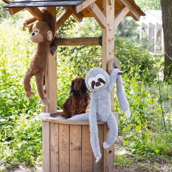 Beeztees Jungle Mjukisdjur till Hund Sengångare (XL)