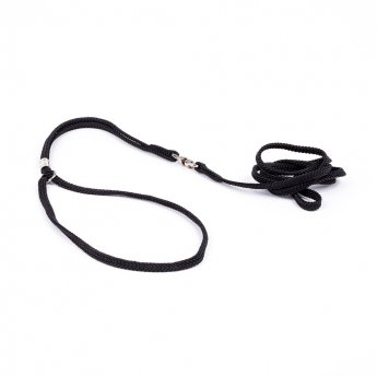 Show Dog Show Lead Round (5 mm)