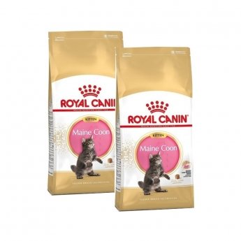 Royal Canin Maine Coon Kitten 2x10 kg