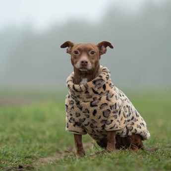 51 Degrees North Turtle Teddy Hundtröja Leopard
