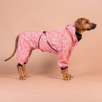 PAIKKA Regnoverall till Hund Röd