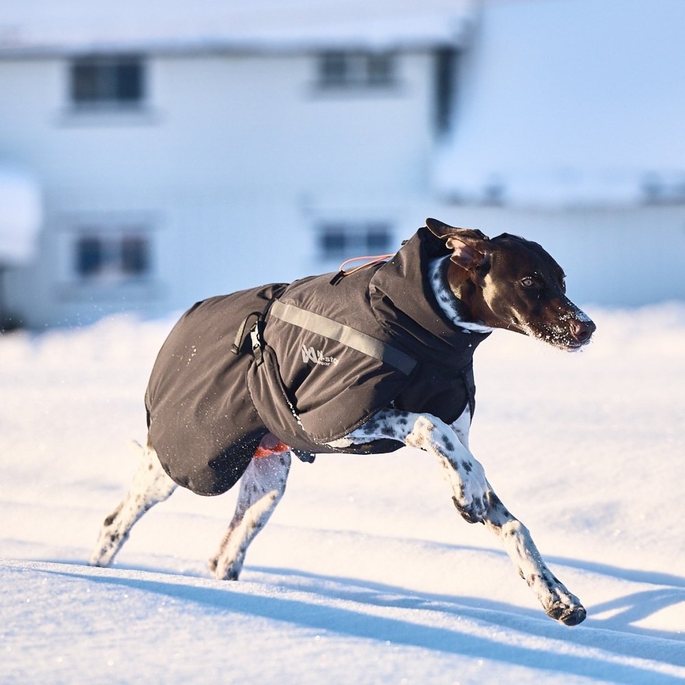 Alternativ bild 1 för Non-Stop Dogwear Trekking Hundtäcke Svart (33)