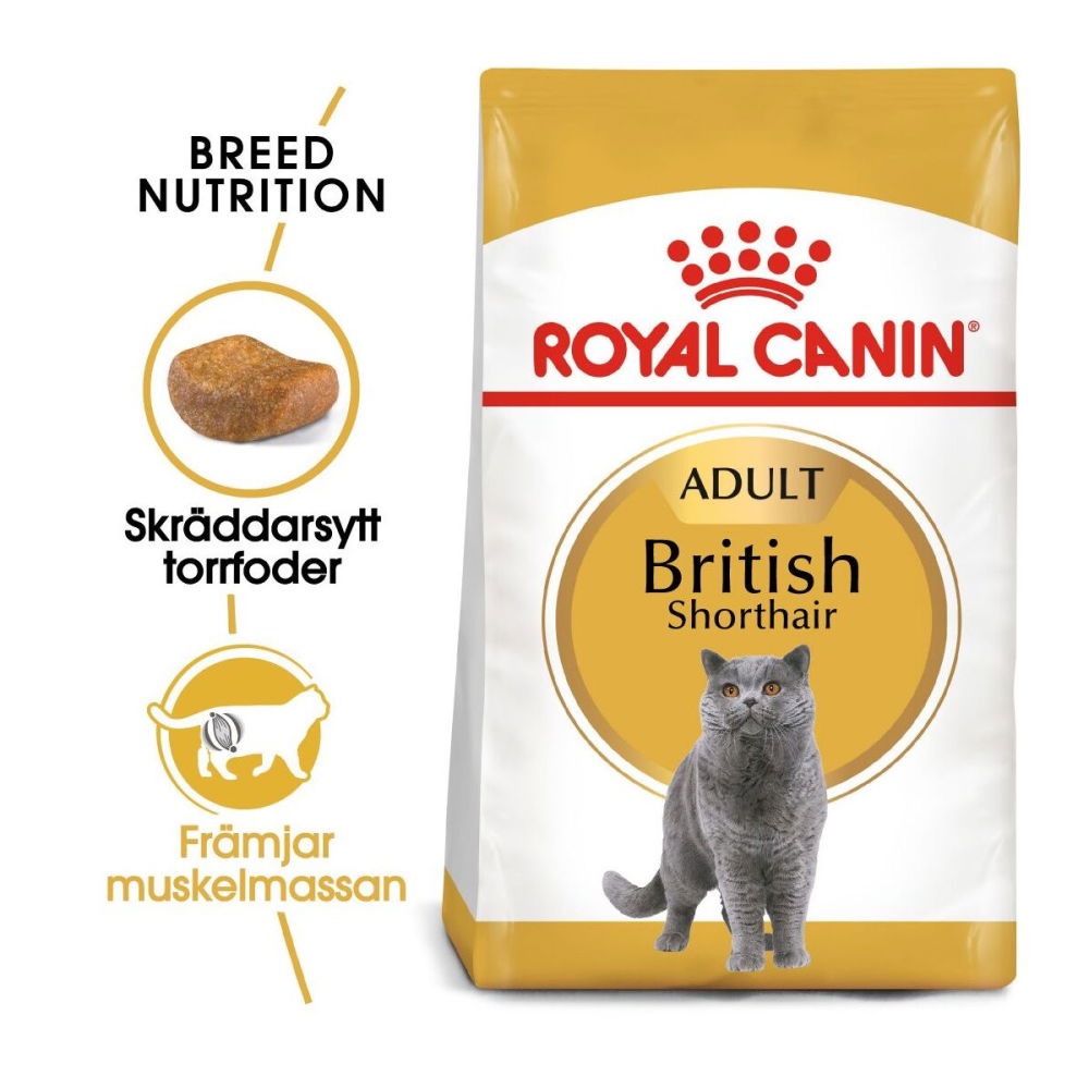 Royal Canin British Shorthair (10 kg)