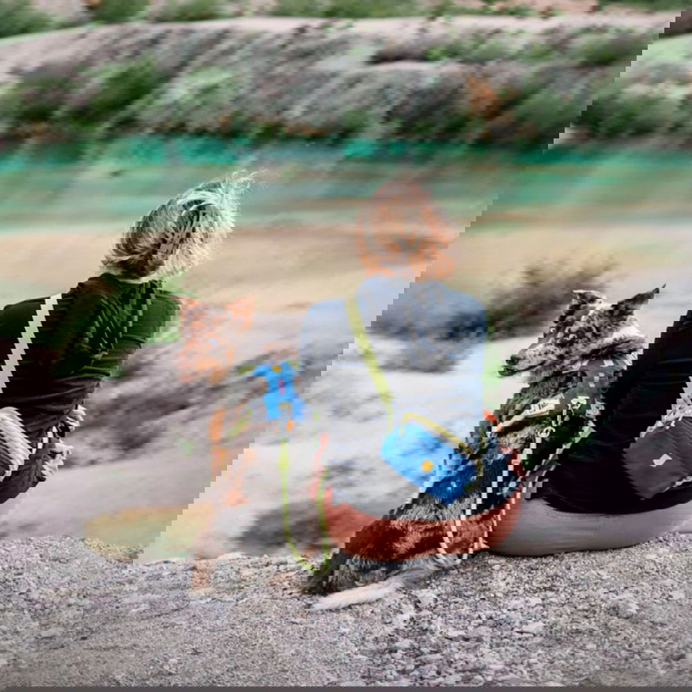 Woolly Wolf Alpha 360 Magväska Blå/Grön