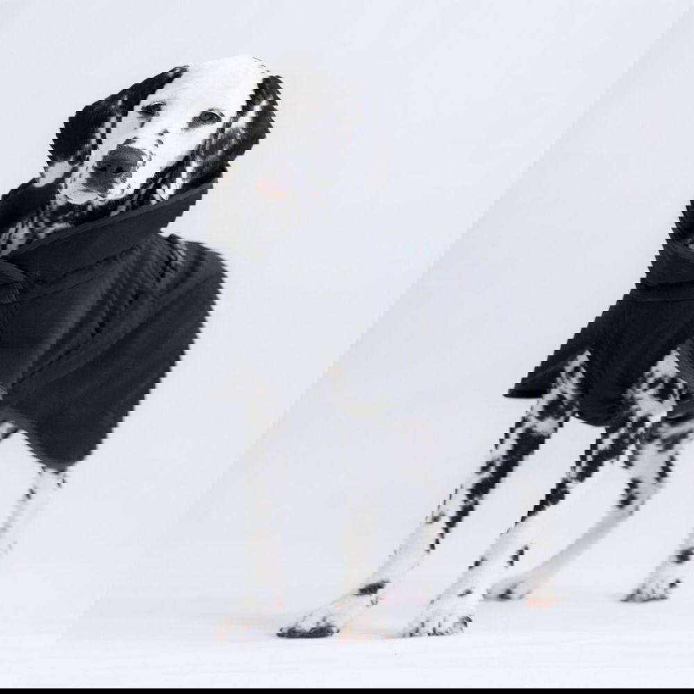 PAIKKA Recovery Softshell Hundjacka Svart (25)