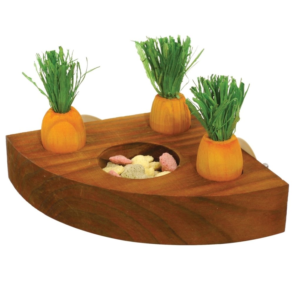 Rosewood Carrot Toy n Treat Holder
