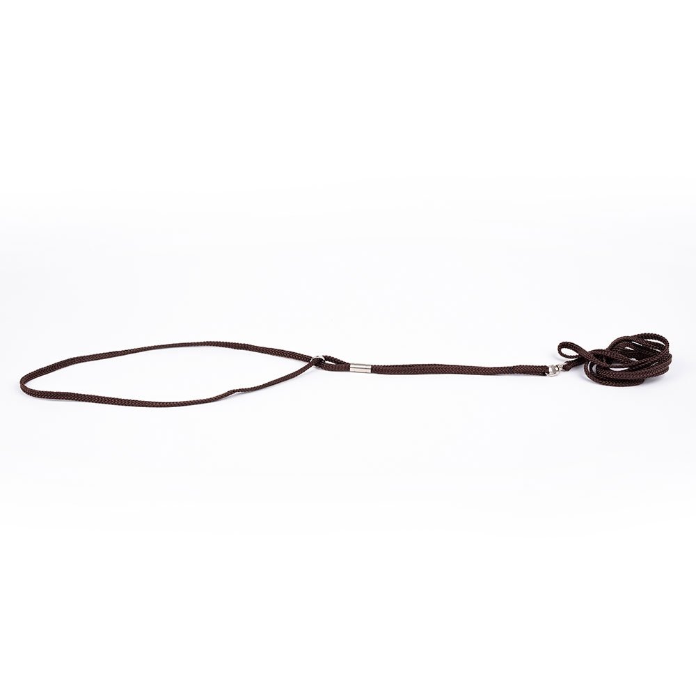 Show Dog Show Lead Round (3 mm)