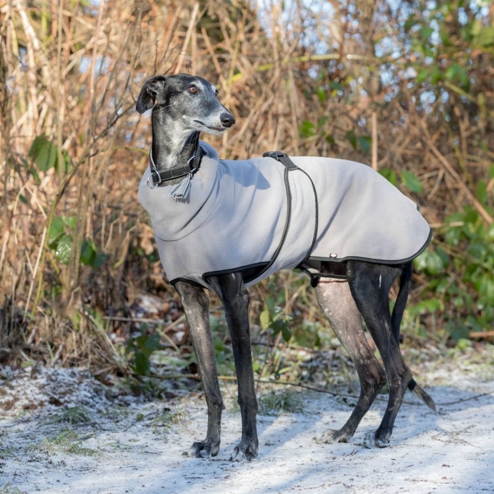 Läs mer om Trixie Grenoble Hundtäcke Fleece Grå (30 cm)