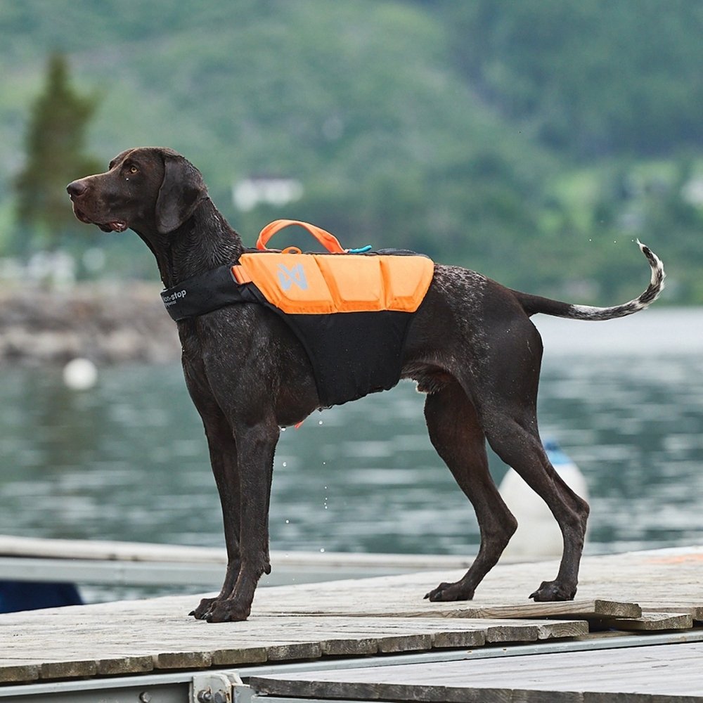 Non-Stop Dogwear Protector Flytväst till hund Orange & Svart (3)