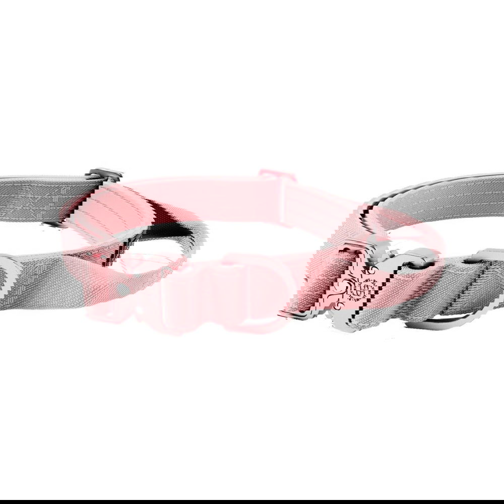 BullyBillows Combat Hundhalsband med Handtag Rosa XS 2,5 cm