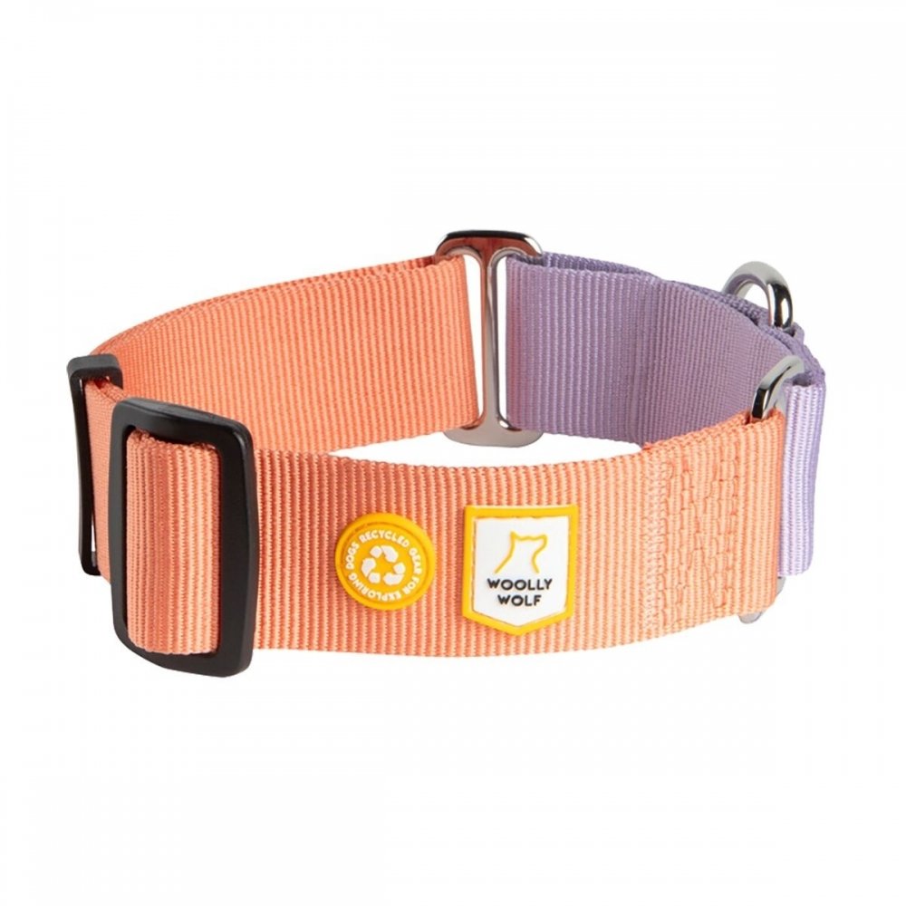 Woolly Wolf Color Block Hundhalsband Halvstryp Rosa (M)
