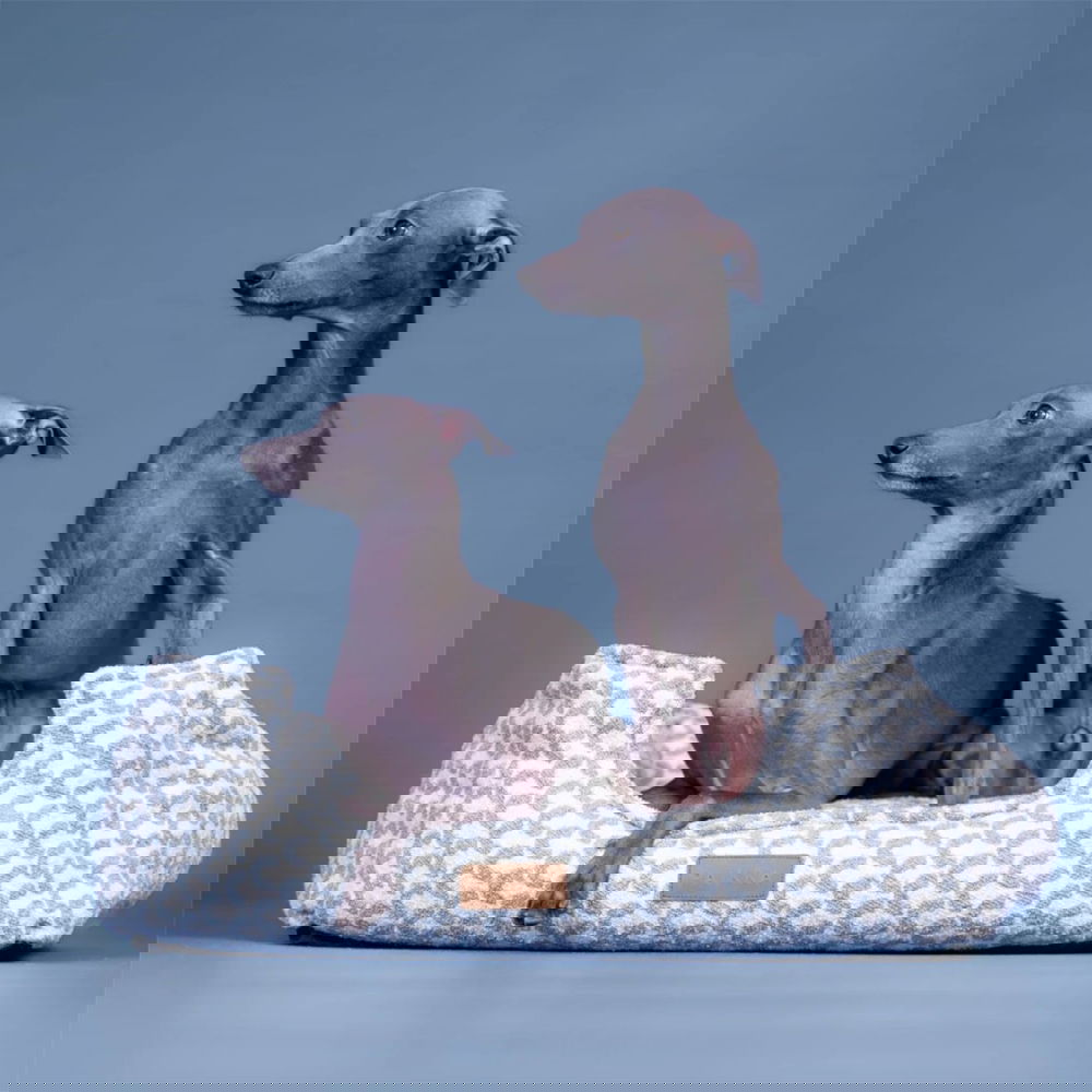 PAIKKA Treasure Hundbädd Blå (S)