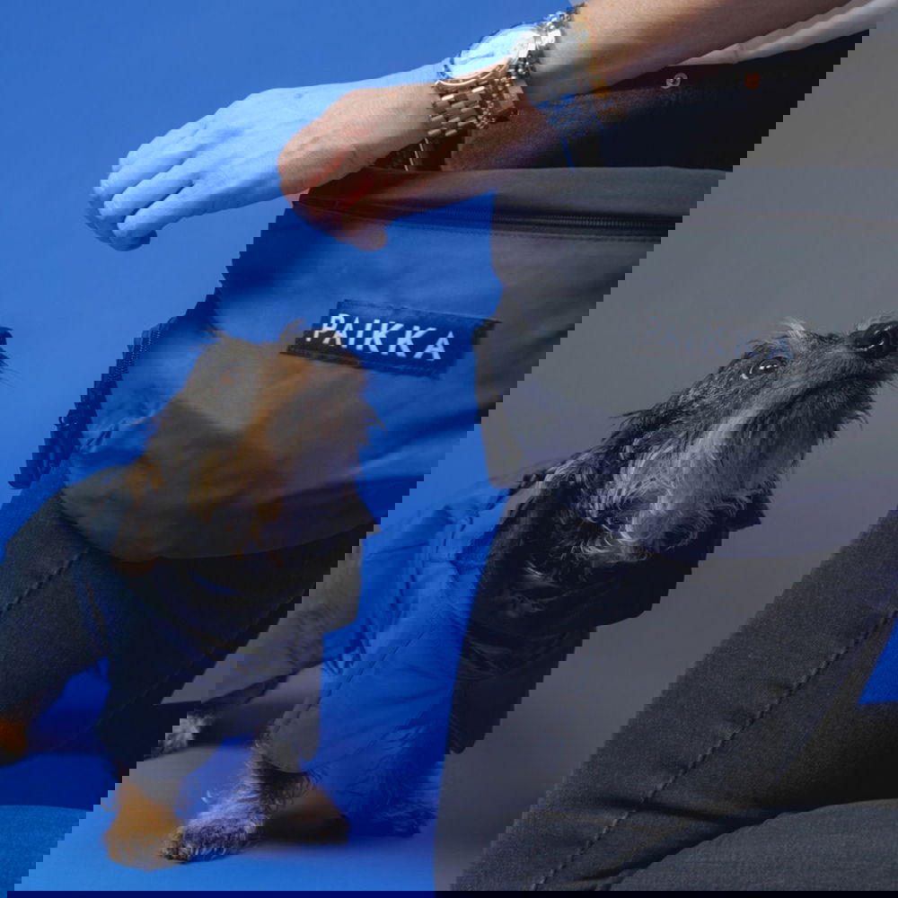 Alternativ bild 1 för PAIKKA Visibility Midjeväska Reflekterande Svart