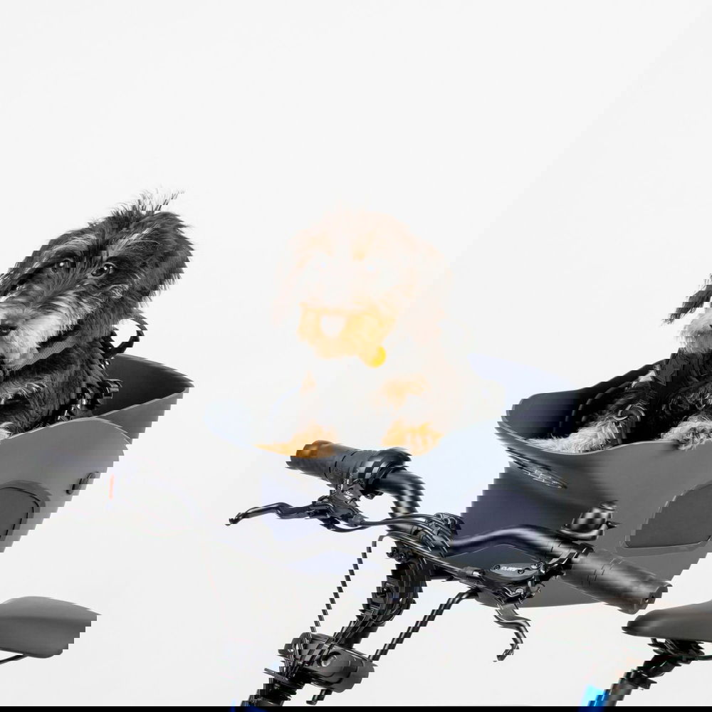 Kvisp Cykelkorg till Hund med Sele Grå (M)