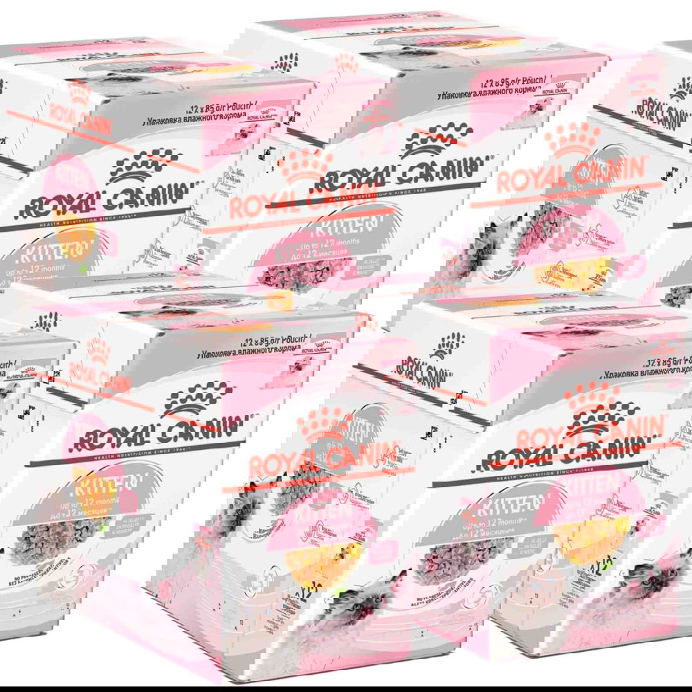 Royal Canin Kitten Jelly 85g, 48-pack