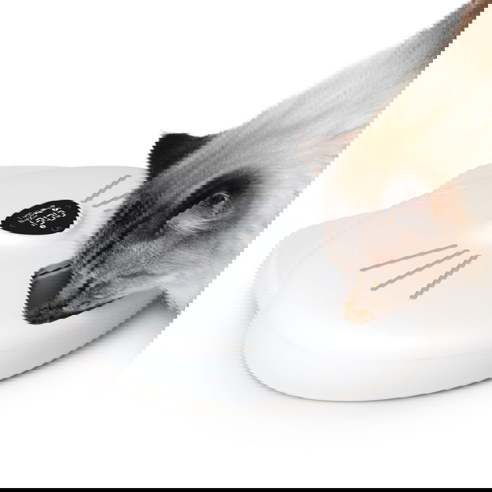 Catit PIXI Smart Foderautomat 6 Måltider