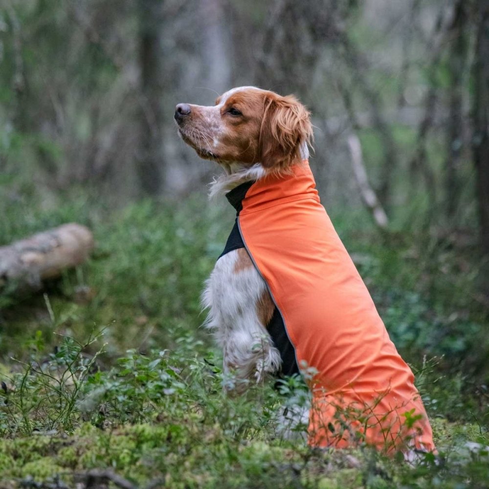 Läs mer om Feel Active Drammen Hundtröja Orange (60 cm)