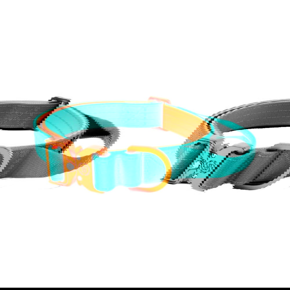 BullyBillows Combat Hundhalsband Turkos och Orange XS 2,5 cm