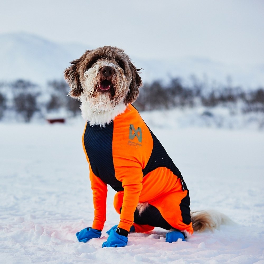 Läs mer om Non-stop Dogwear Protector Snow Hundoverall Hane Svart & Orange (L)