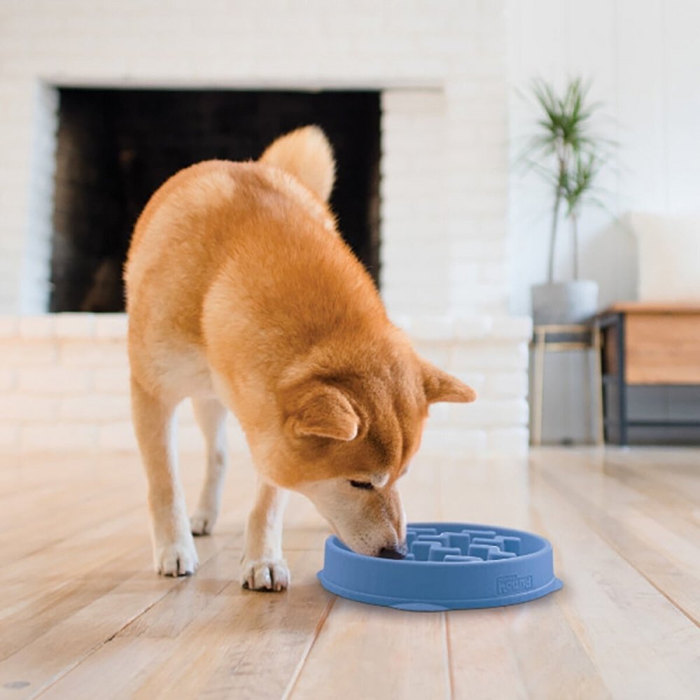 Alternativ bild 1 för Outward Hound Slow Feeder Notch Hundmatskål Blå
