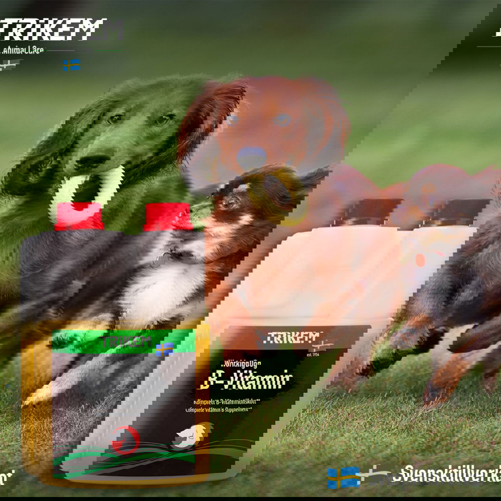 Alternativ bild 1 för Trikem WorkingDog B-Vitamin (3 liter)
