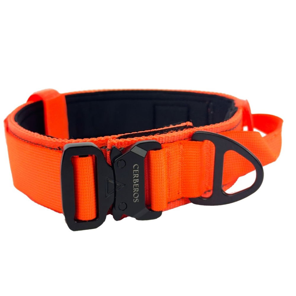 Läs mer om Cerberos Hundhalsband Orange (L)