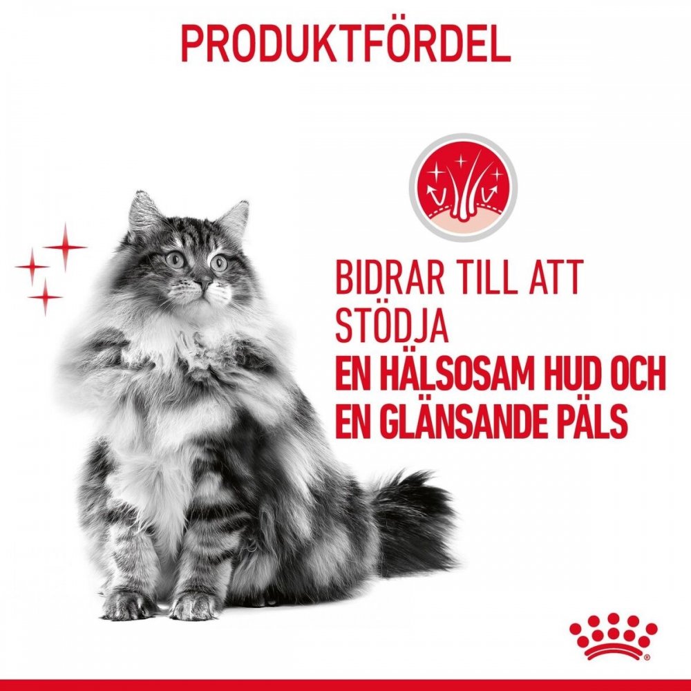 Alternativ bild 1 för Royal Canin Hair & Skin Care Gravy 12 x 85 g