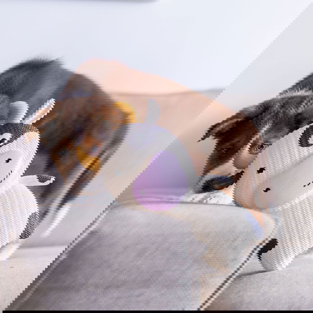 Quapas! Latex Ko XXL