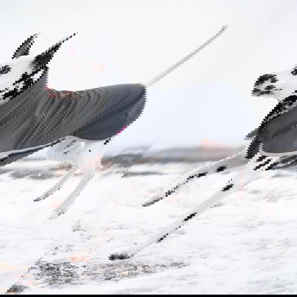 Pomppa Sport Hundtäcke Grå (48)