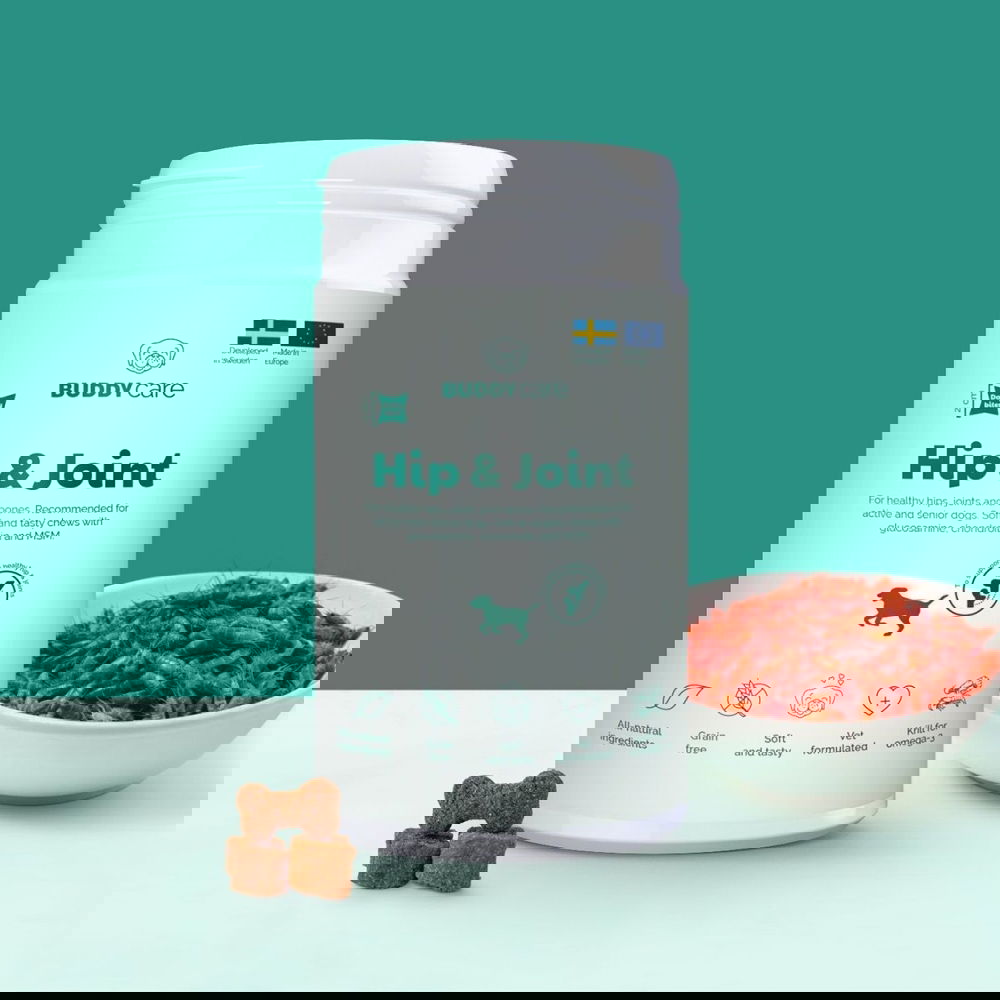 Alternativ bild 1 för BuddyCare Bone & Joint Support 180 g