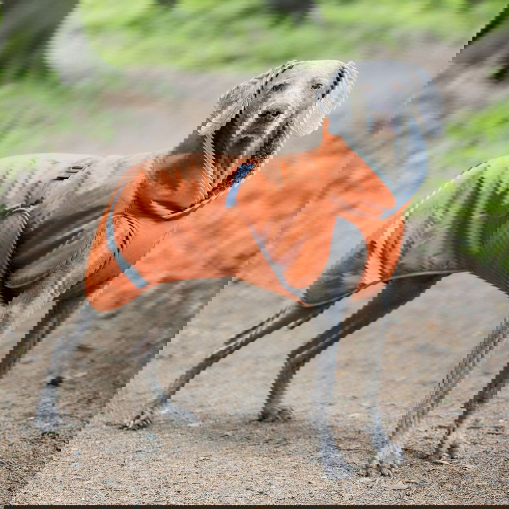 Pomppa Toppa Vintertäcke Hund Orange (25)
