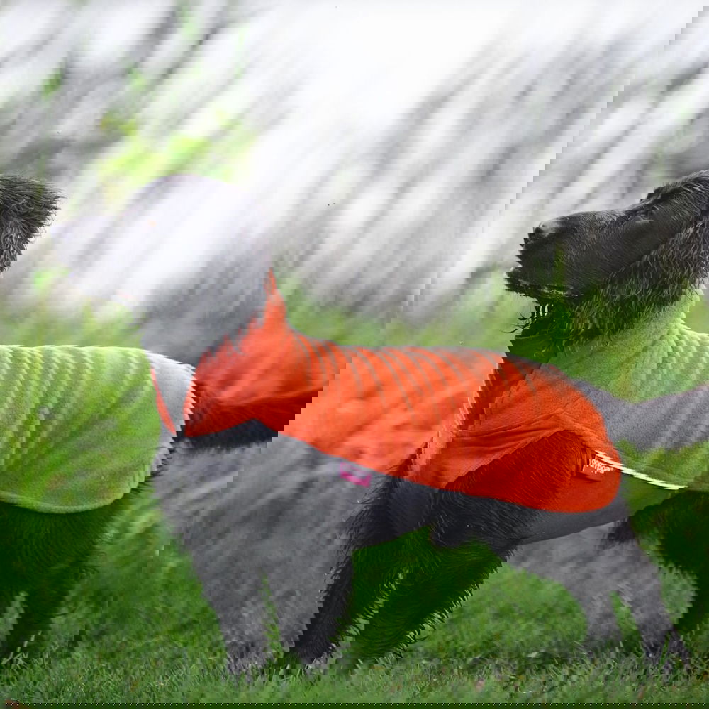 Pomppa Jumppa Fleecetäcke Hund Orange (85)