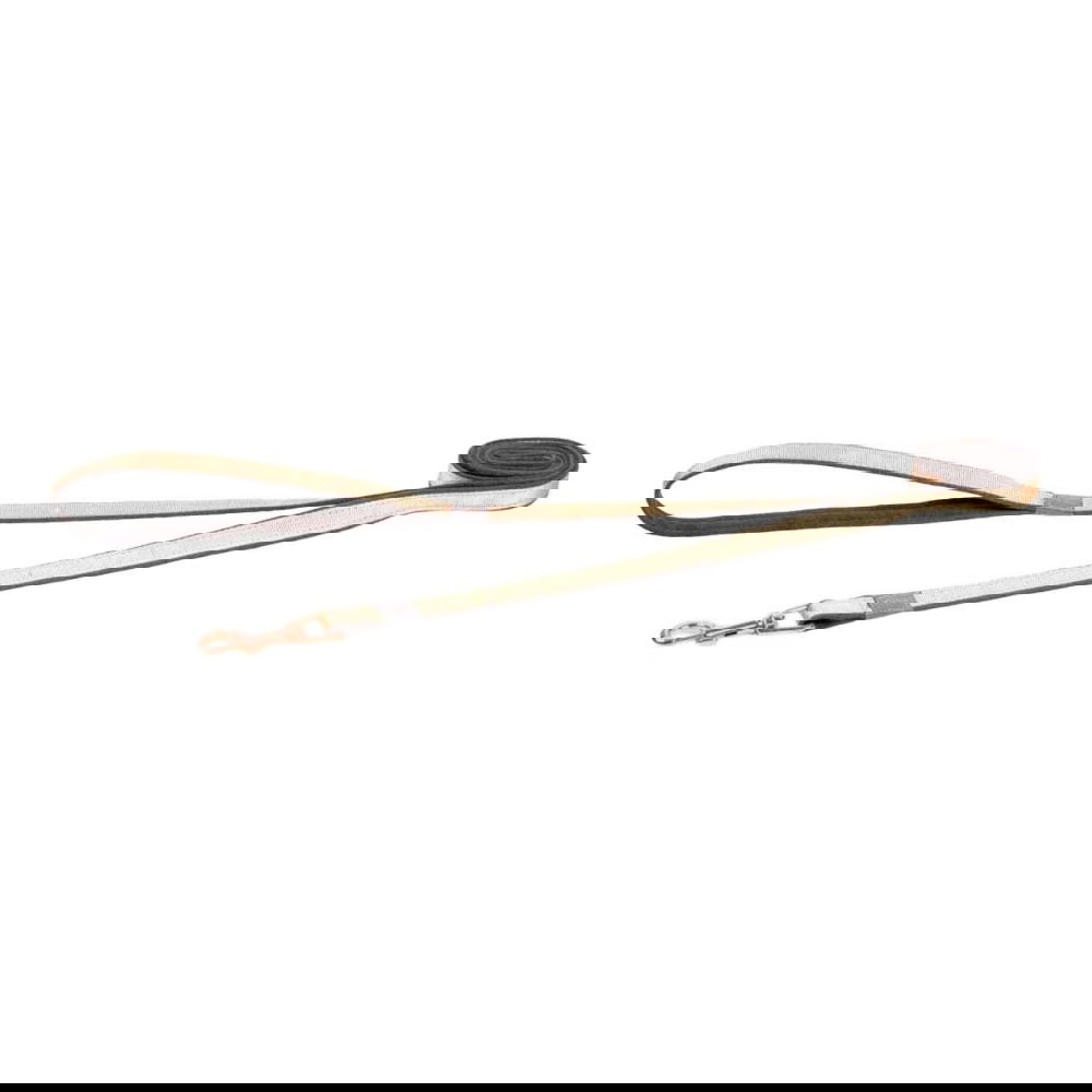 Rogz Urban Hundkoppel 180cm (Beige)