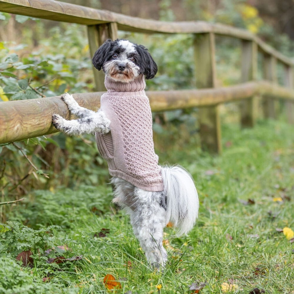 Trixie Norwood Hundtröja med Krage Beige (30 cm)