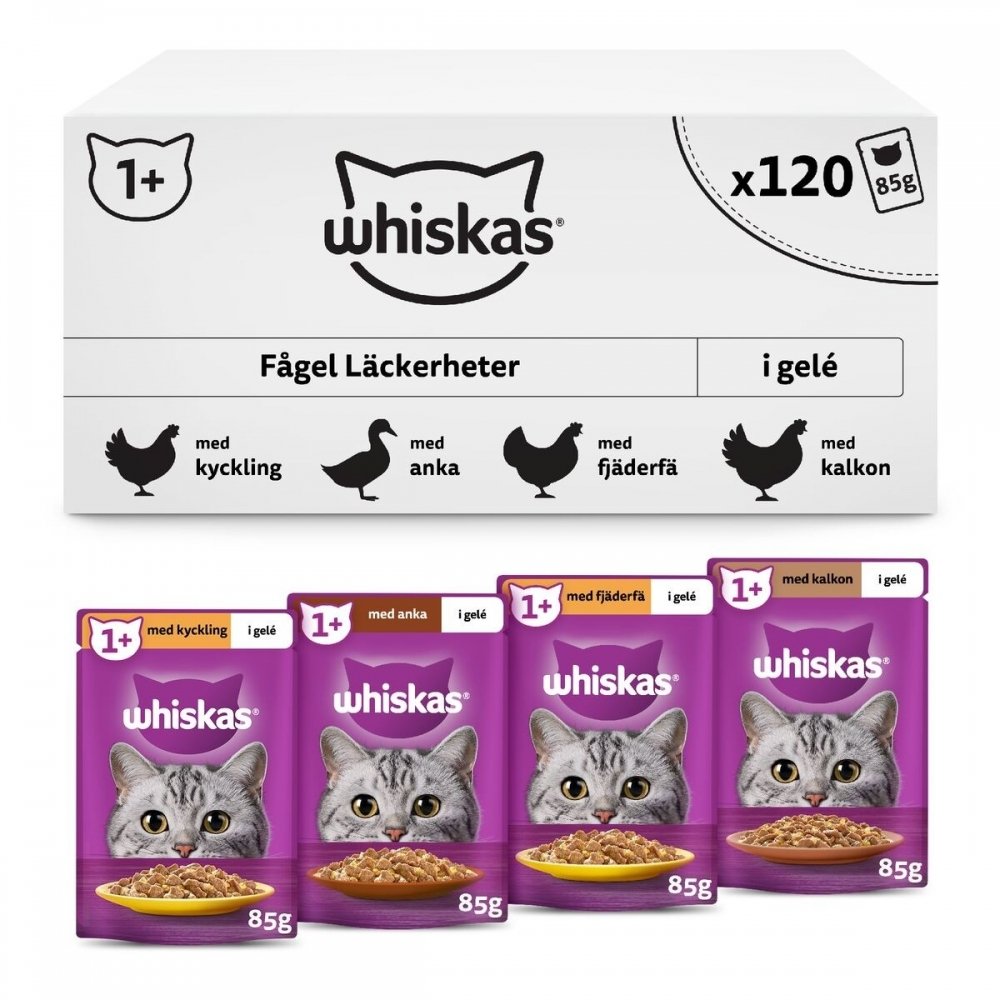 Whiskas 1+ Cat Poultry Selection in Jelly 120×85 g