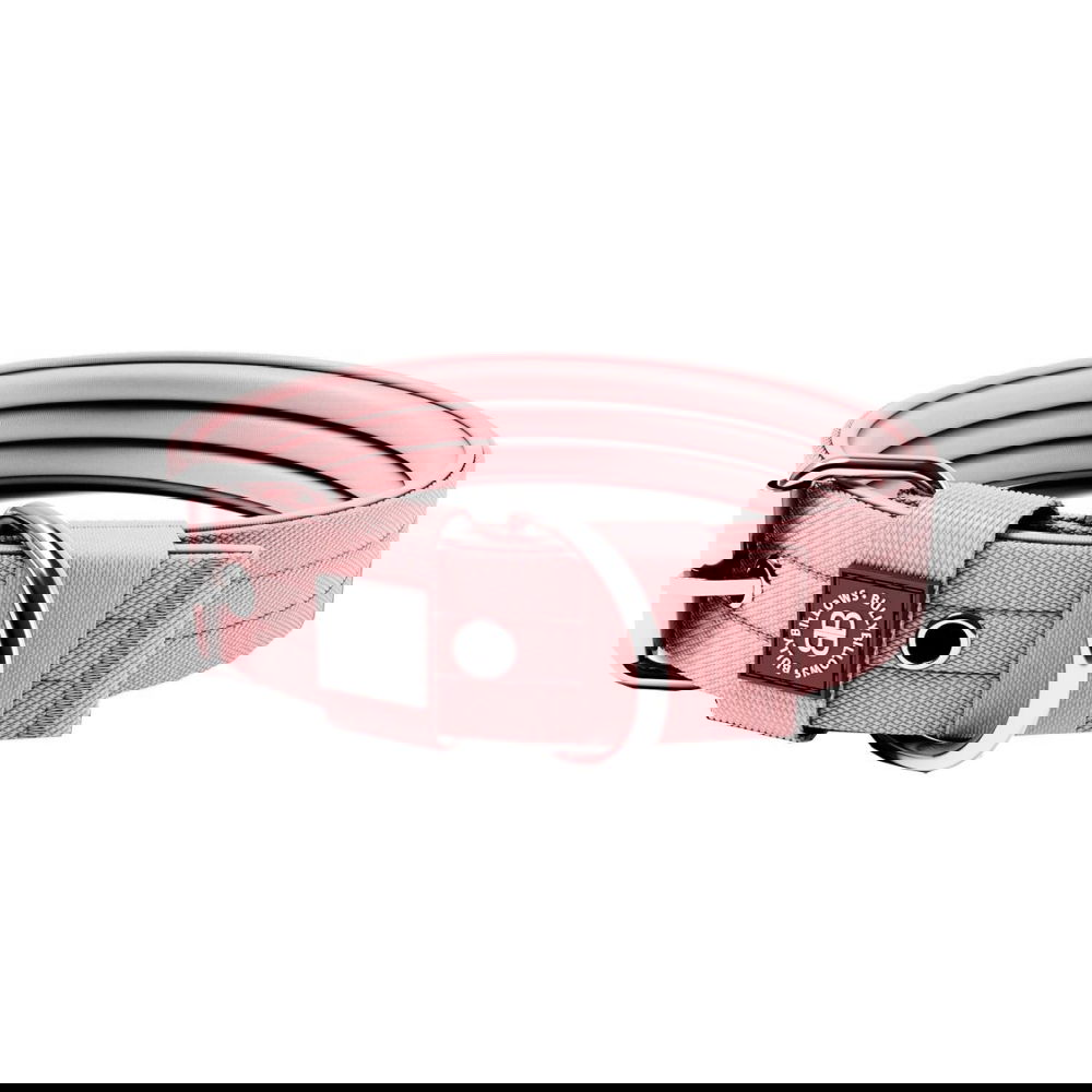 BullyBillows Hundhalsband med Spänne Rosa 4 cm (S)