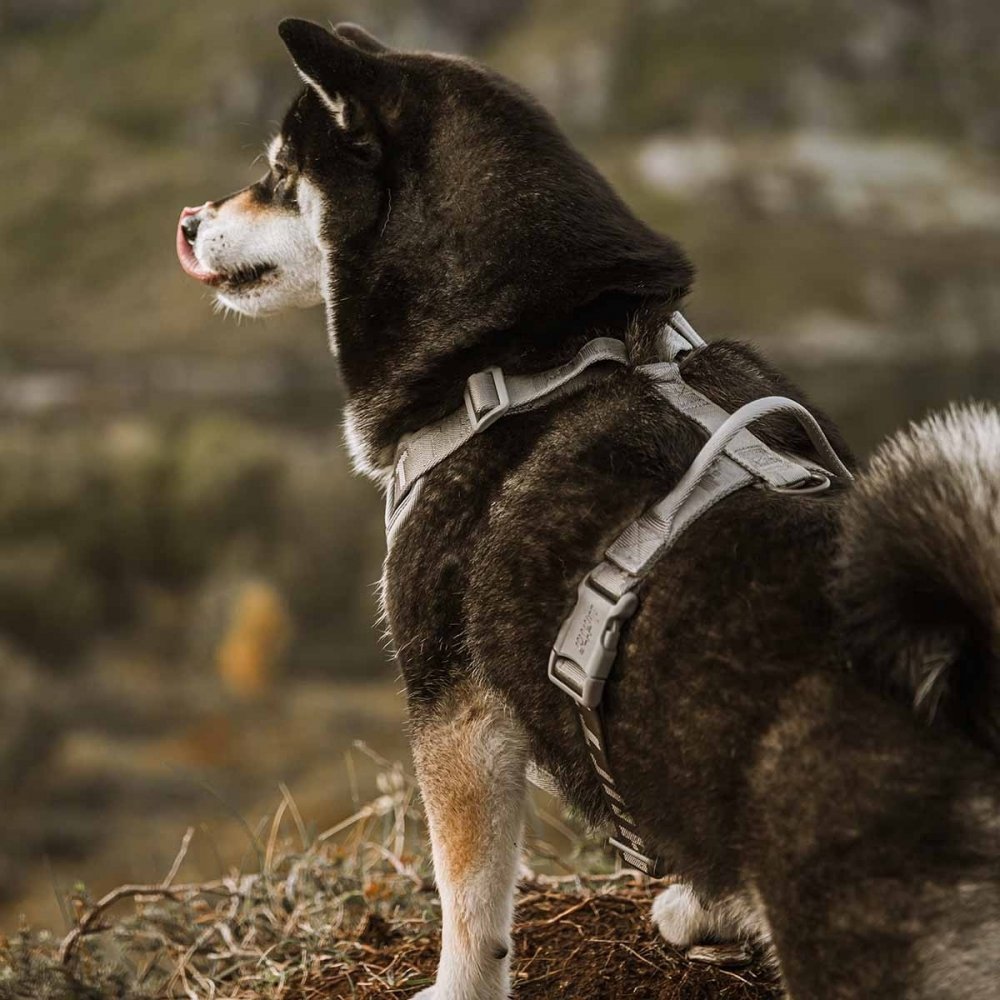 Alternativ bild 1 för Hurtta Venture No-Pull Hundsele Grå (35-40 cm)