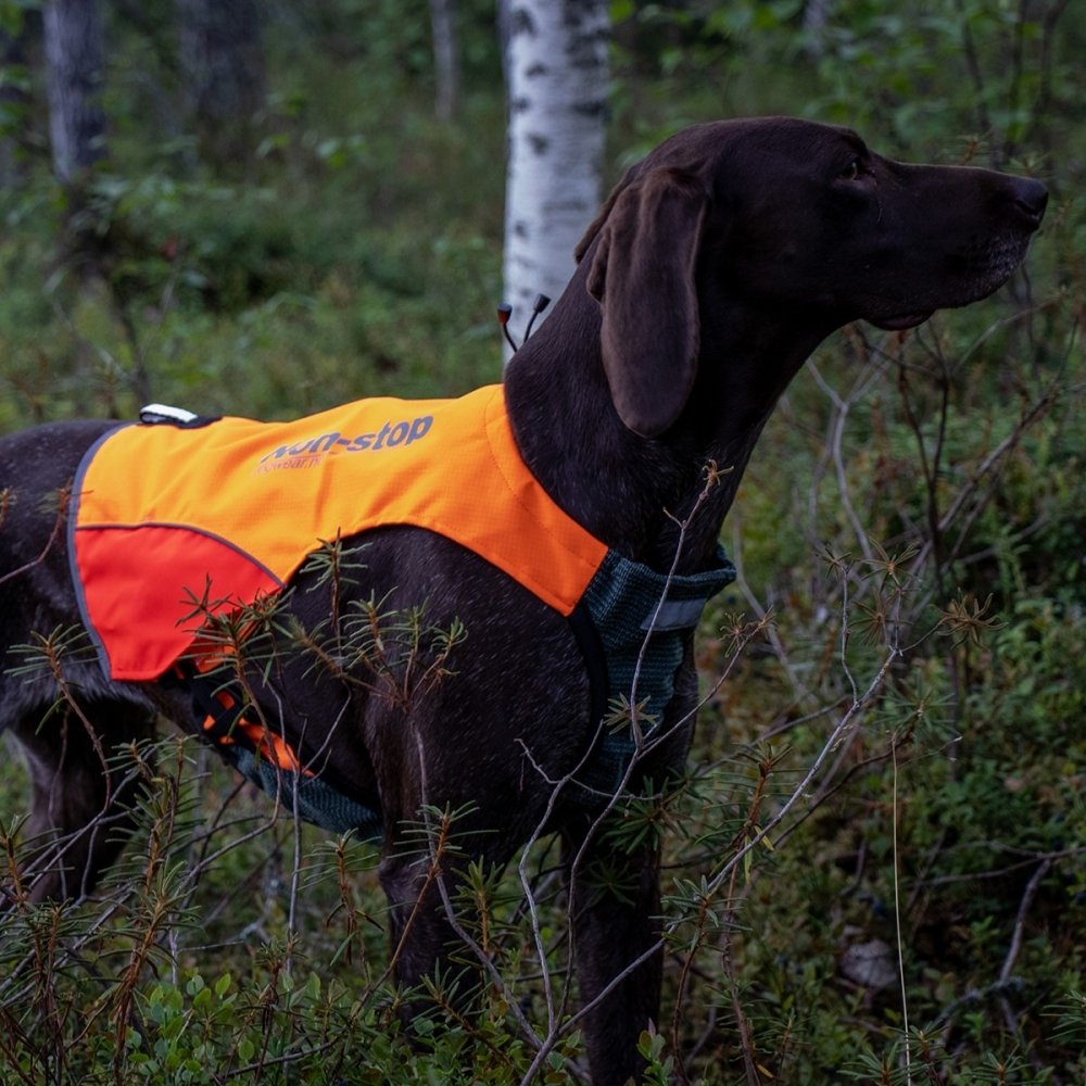 Alternativ bild 1 för Non-Stop Dogwear Protector Reflexväst (XXS)