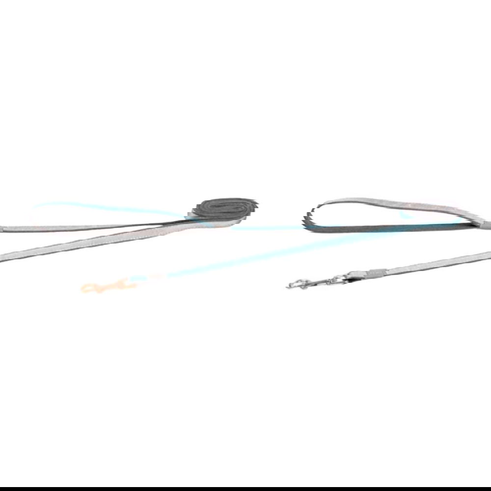 Rogz Urban Hundkoppel 180cm (Turkos)