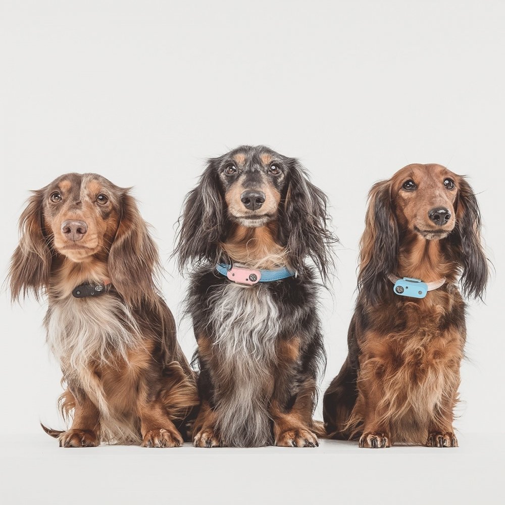 Alternativ bild 1 för Tickless Mini Dog Elektronisk Fästingavvisare (Korall)