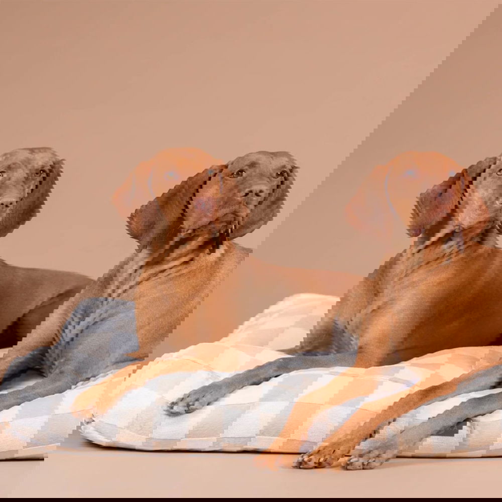 PAIKKA Check Hundmadrass Rutig Beige (M)