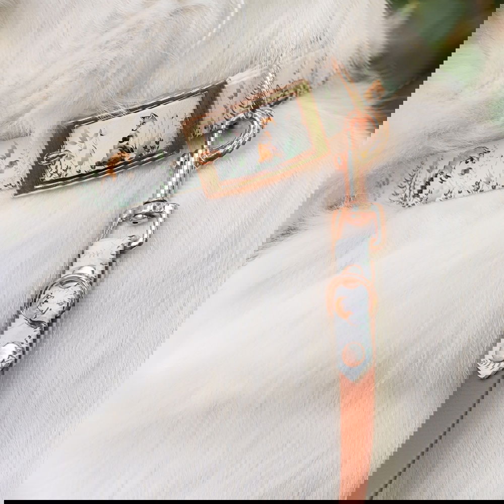 Tyylivoitto Unique Dancing with Foxes Hundhalsband (XXS)