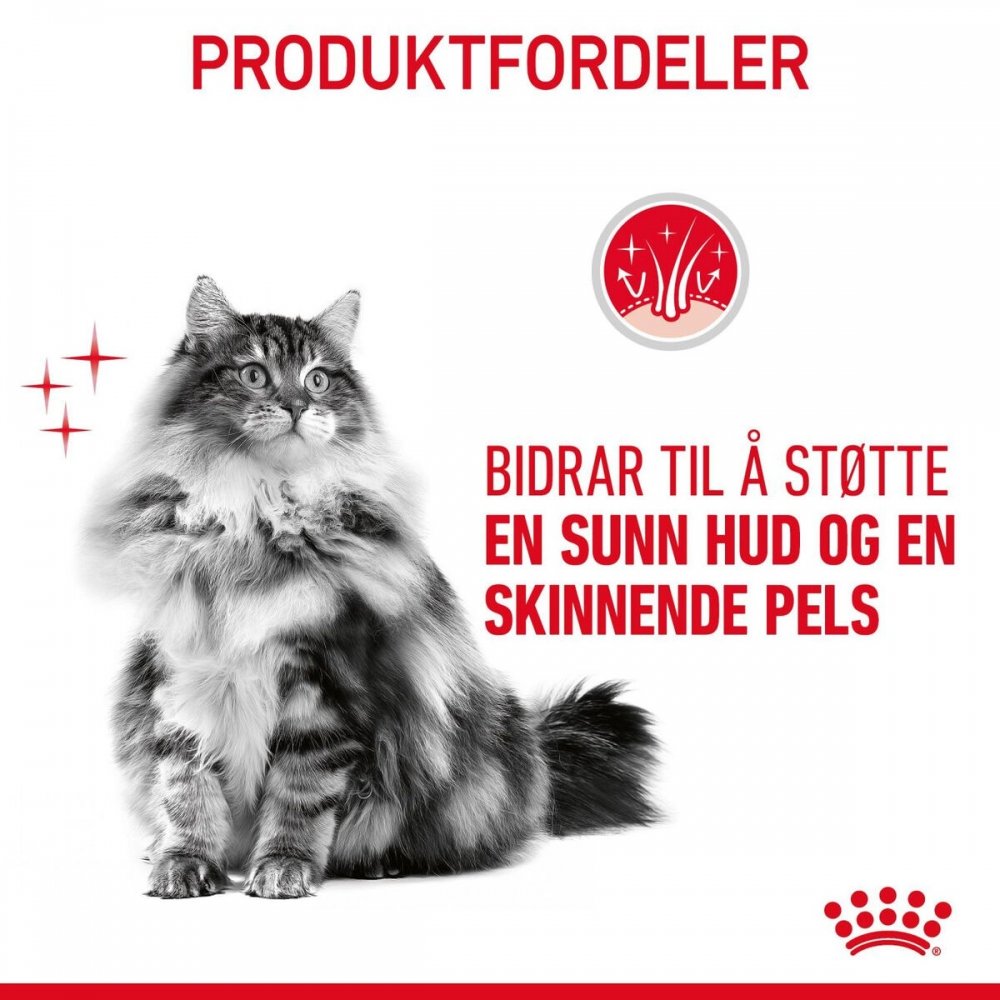 Royal Canin Hair & Skin Care (4 kg)