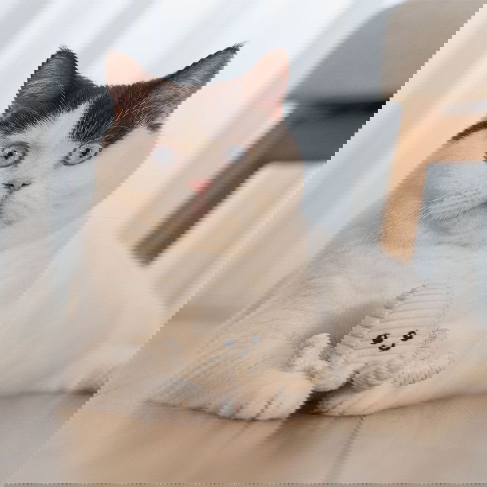 Beeztees Eco Cat Nome Bläckfisk