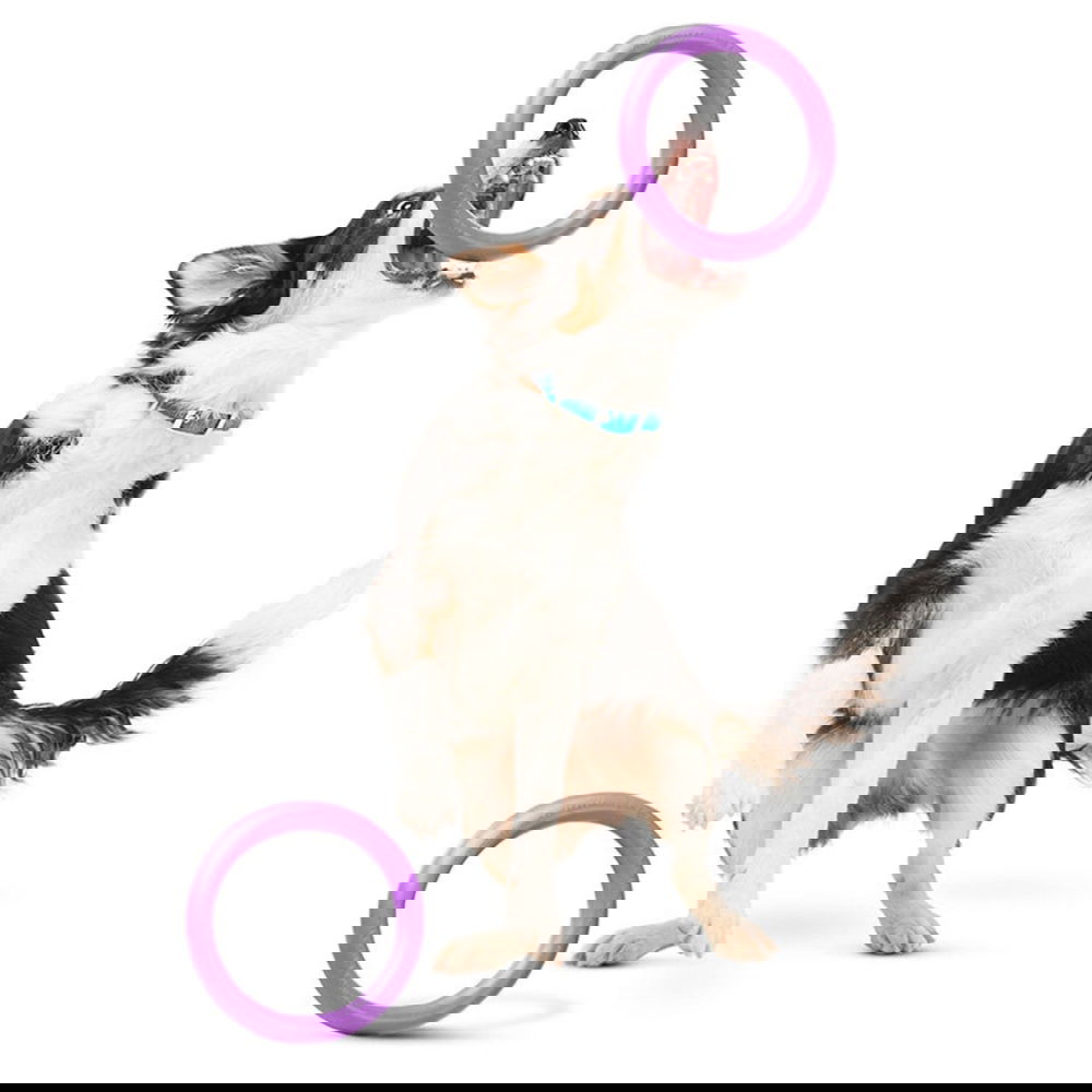 Ferplast Puller Träningsredskap 2-pack (micro)