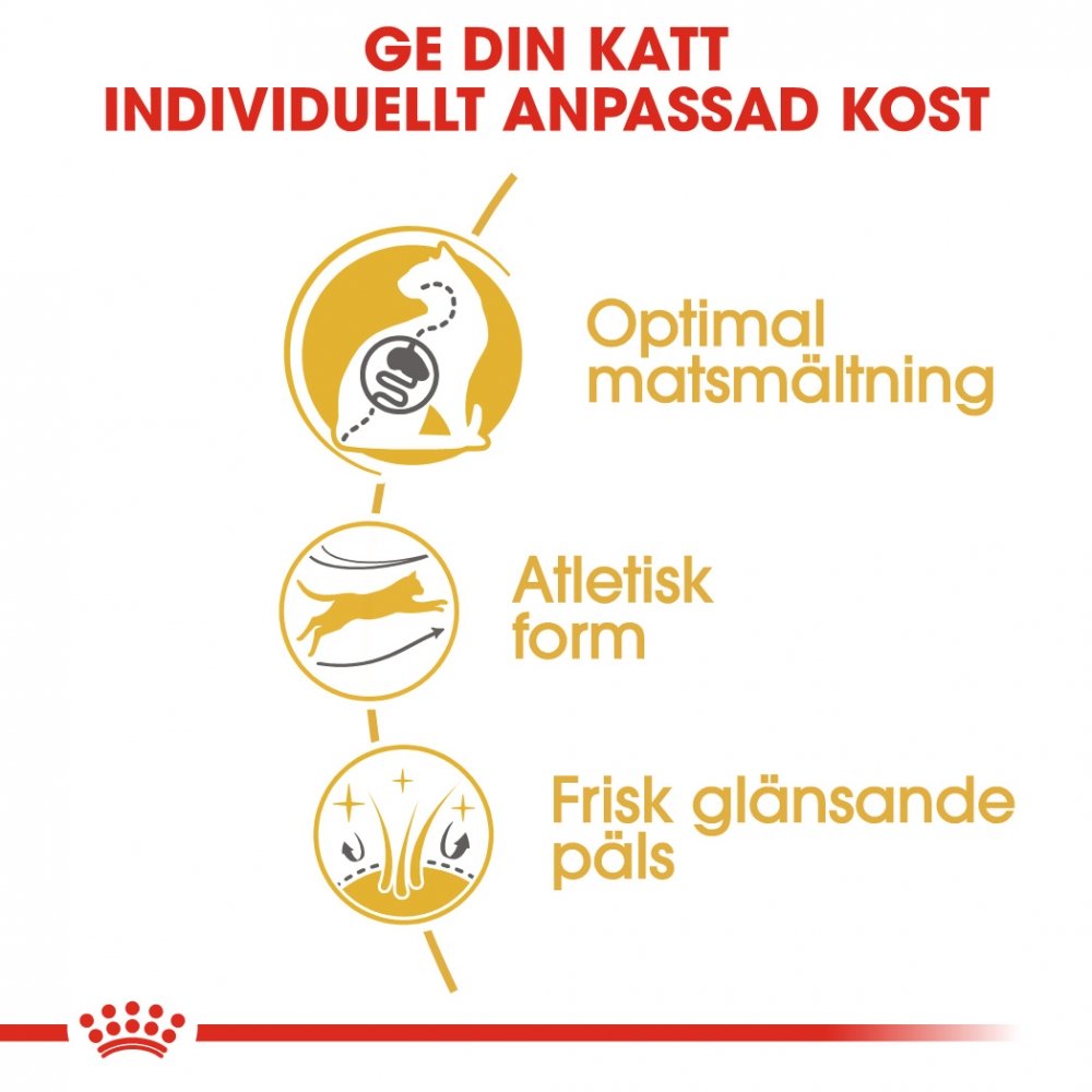 Alternativ bild 1 för Royal Canin Bengal (2 kg)
