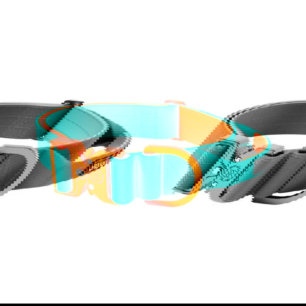 BullyBillows Combat Hundhalsband med Handtag Turkos & Orange 4 cm (S)