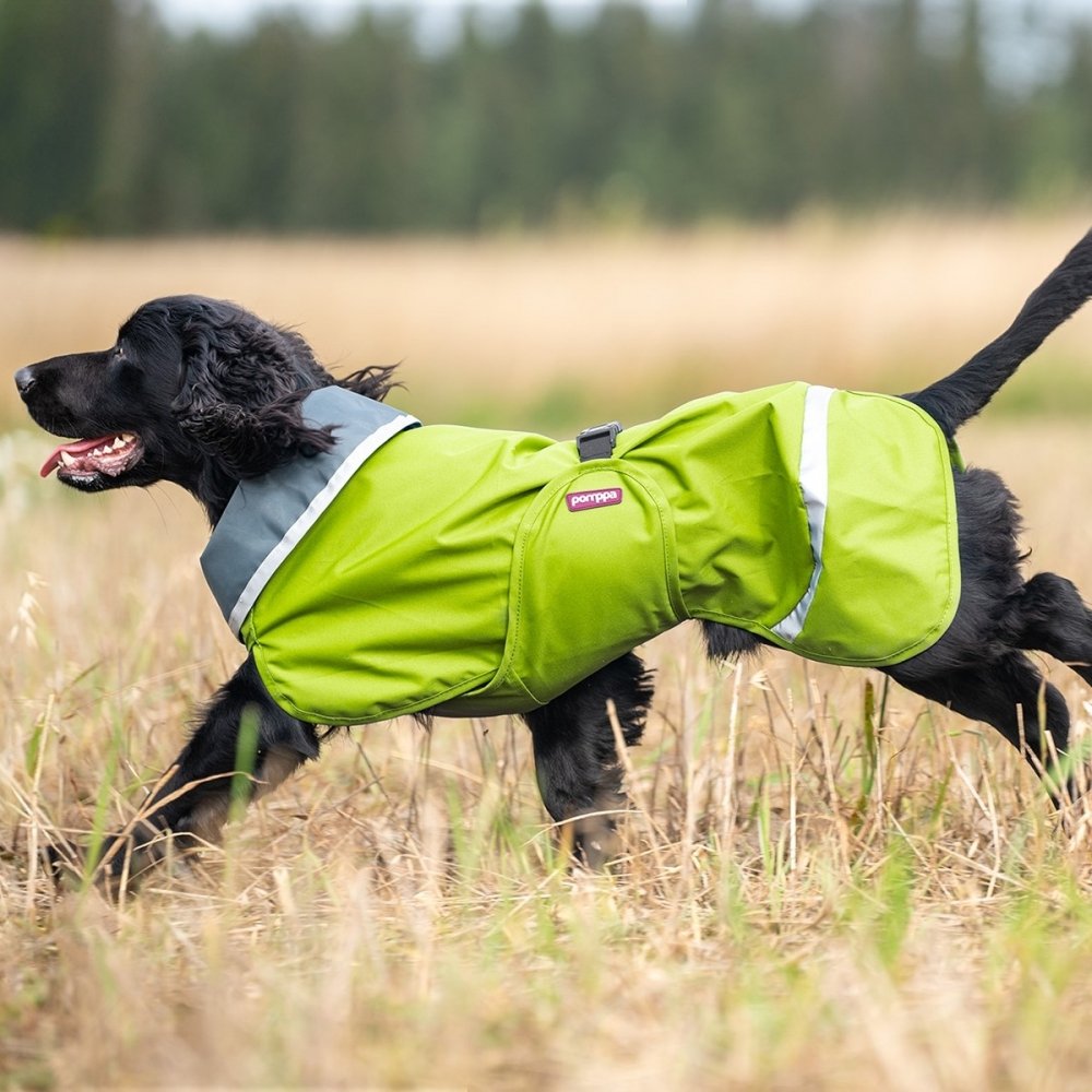 Läs mer om Pomppa Sade Regntäcke Hund Grön (37 cm)